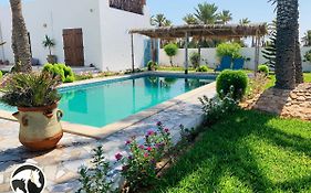 Dar Ranch Elissa